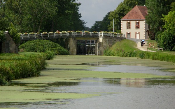 Maas Loire